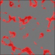Diffuse Map