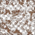 Variation 3