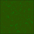 Diffuse Map