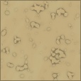 Diffuse Map