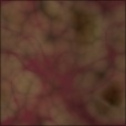 Diffuse Map