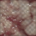Raw Flesh