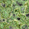 Diffuse Map