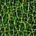 Cracked Ceramic Glaze