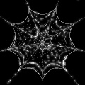 SpiderWeb