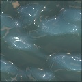 Liquid