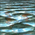 Water Waves 1