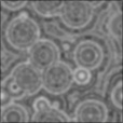 Bump Map