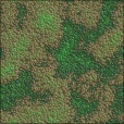 Variation 1