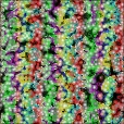 Variation 4