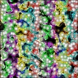 Variation 6