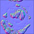 Normal Map