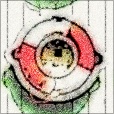 Variation 7