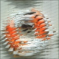 Decomposite