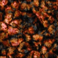 Diffuse Map