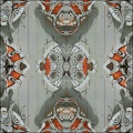 organic photo distortions