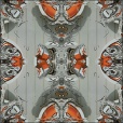 Variation 1
