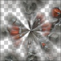 Time Warp Blossoms