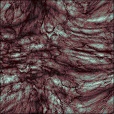 Diffuse Map