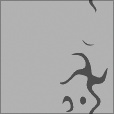Bump Map