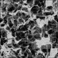 Bump Map