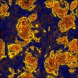 Diffuse Map