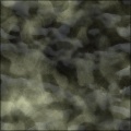 Amphibiot