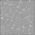 Bump Map
