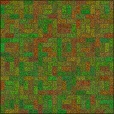 Variation 4