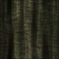 Cave Wall