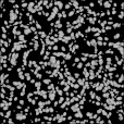 Bump Map