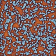 Diffuse Map