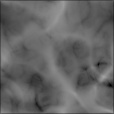Bump Map