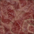 Flesh