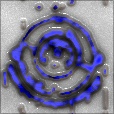 Variation 4