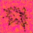 Diffuse Map