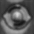 Bump Map