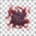 cellular virology