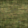 Diffuse Map