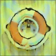 Variation 4