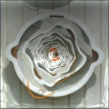 infinite swirl