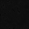 Bump Map