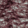 Diffuse Map