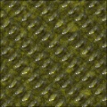 Reptile skin