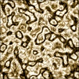 Diffuse Map