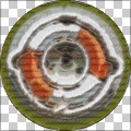 Merit Badge
