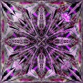 Fracta lilly