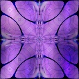 Variation 5
