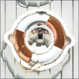 Variation 4