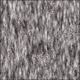 Diffuse Map